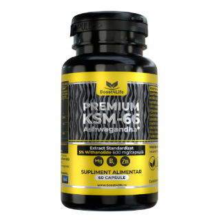 Ashwagandha KSM-66 Premium, 60 capsule vegane, Boost4Life