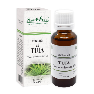 Tinctura de Tuia, 30 ml, Plant Extrakt